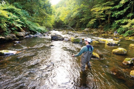 fly-fishing