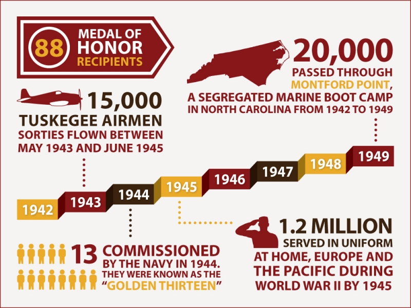 DoD - African Americans - By the Numbers